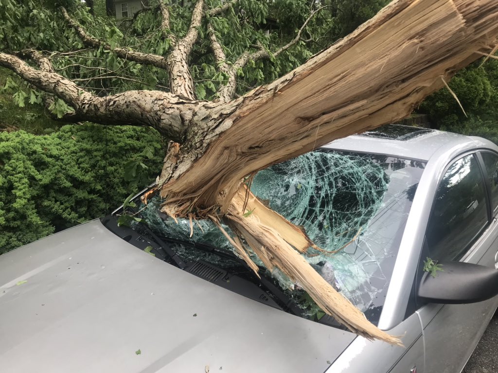 Damage from last night's storm. These pictures were all taken along the same street in Hopatcong, New Jersey.   