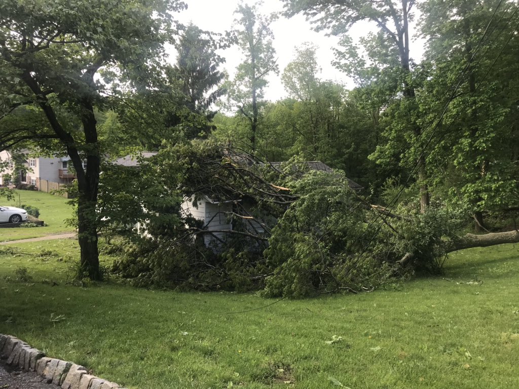 Damage from last night's storm. These pictures were all taken along the same street in Hopatcong, New Jersey.   