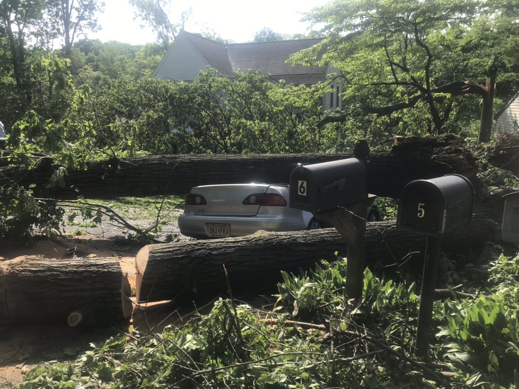 Damage from last night's storm. These pictures were all taken along the same street in Hopatcong, New Jersey.   